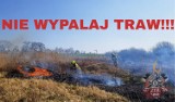 Strażacy walczą z pożarami traw ZDJĘCIA           
