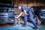 Policja w Zduńskiej Woli szuka chętnych do pracy