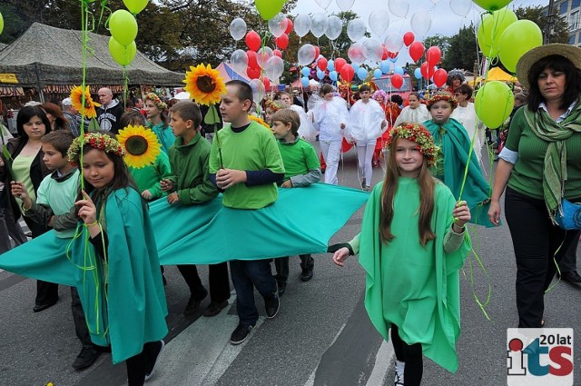 Ubiegłoroczna parada święta kwiatów