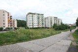 Gdynia: Pustki Cisowskie czystsze. Ulice Rumska i Malinowa nie są już zaśmiecone