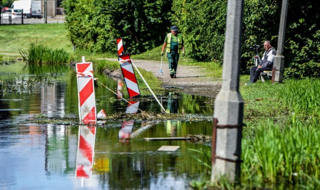 Poziom Brdy w Bydgoszczy cały czas jest wysoki. Bulwary, którymi chętnie spacerują bydgoszczanie i odwiedzają rowerzyści na dobre zalała woda. Na wysokości sklepu Media Markt ciężko przejść suchą stopą.

Do zobaczenia - odcinek 24 - top5 seriali Netfliksa
