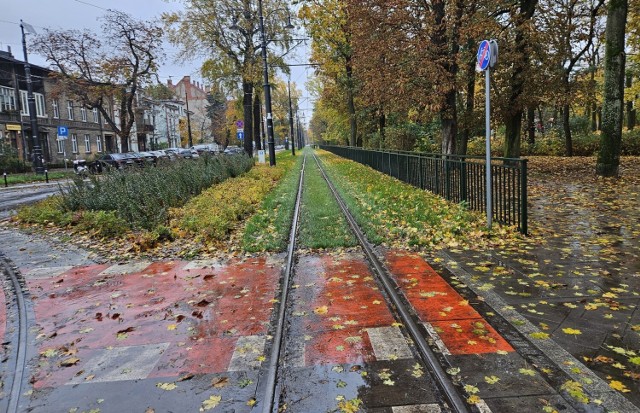 Torowisko na ulicy Bydgoskiej, przy Parku Miejskim, to ten rejon Torunia, gdzie problem "czarnej szyny" jest szczególnie poważny