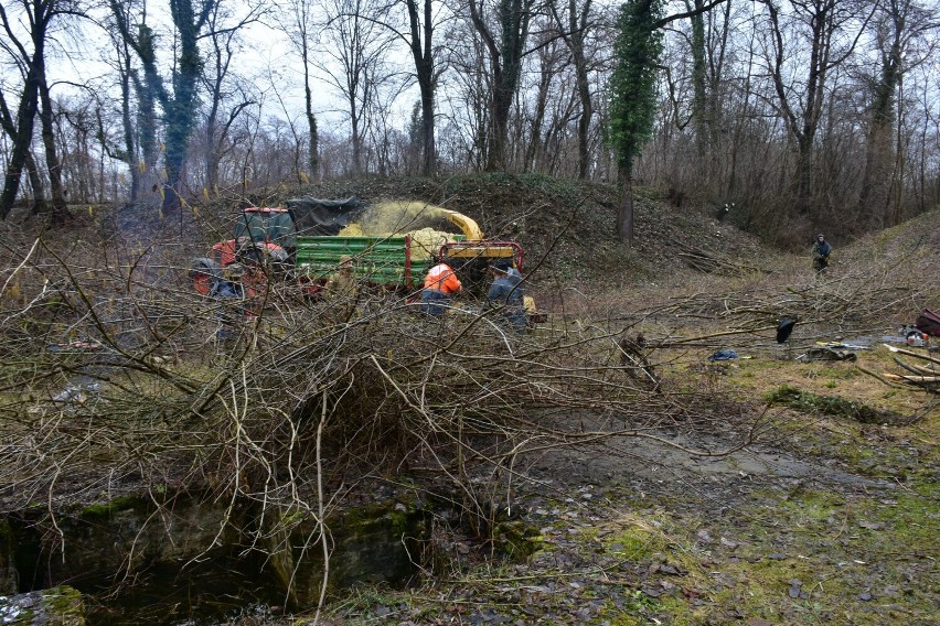 Pikulice. Akcja porządkowania Fortu IV Optyń w Twierdzy Przemyśl [ZDJĘCIA, WIDEO]