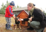 Powiat piotrkowski: Pies, który pomógł odnaleźć 3,5-letniego Dawida dostał nową budę