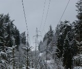 Bochnia i Brzesko: awarie sieci energetycznej z powodu marznącego deszczu. Przerwy w dostawie prądu