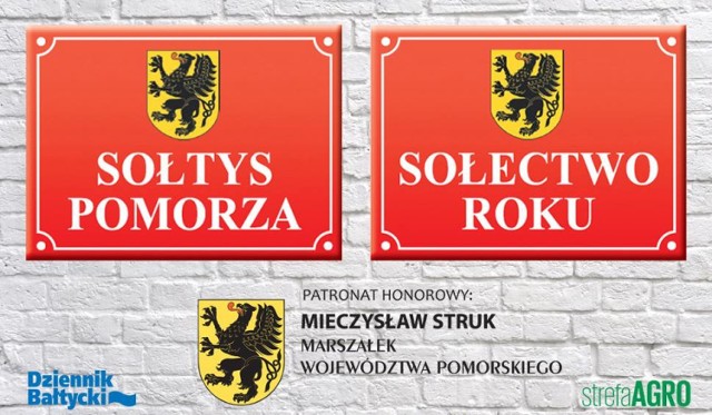 Plebiscyt sołecki