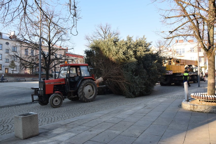 Gorlice stroją się na święta. Na płycie rynku stanęła choinka