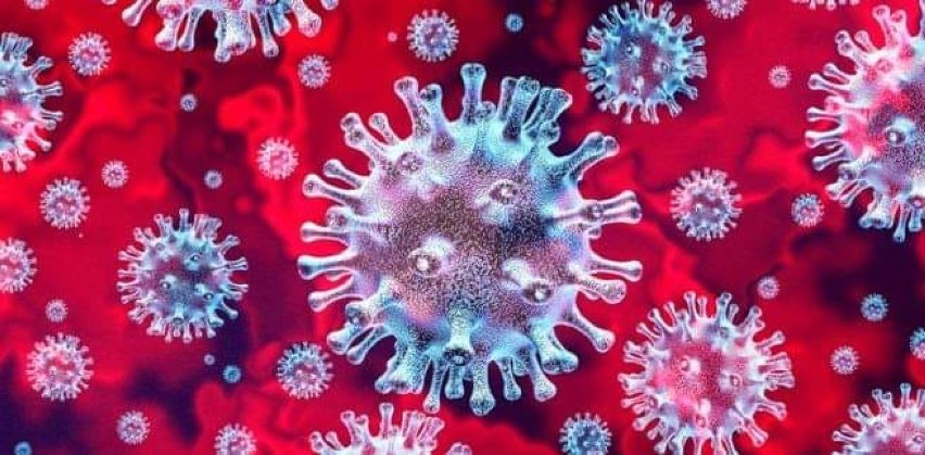 Siódmy przypadek koronawirusa w powiecie kłodzkim 