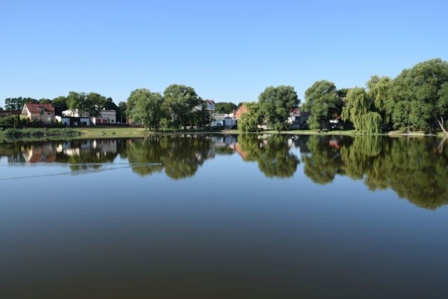 Krajeński Park Krajobrazowy jest piękny o każdej porze roku. Wkrótce w Więcborku przy ulicy Strzeleckiej zostanie otwarta jego nowa siedziba - Ośrodek Edukacji Przyrodniczej