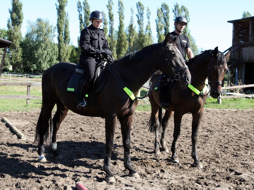 Szczecińscy policjanci patrolują miasto na koniach [wideo, zdjęcia]