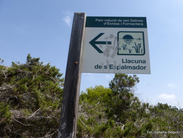 Powierzchnia wysepki Espalmador ma około 2 km&sup2;, posiada 2,7 km długości, i 1,3 km szerokości. Wyspa jest otoczona malutkimi skalnymi wysepkami, Espardell und Des Penjats. Fot.Isabella Degen