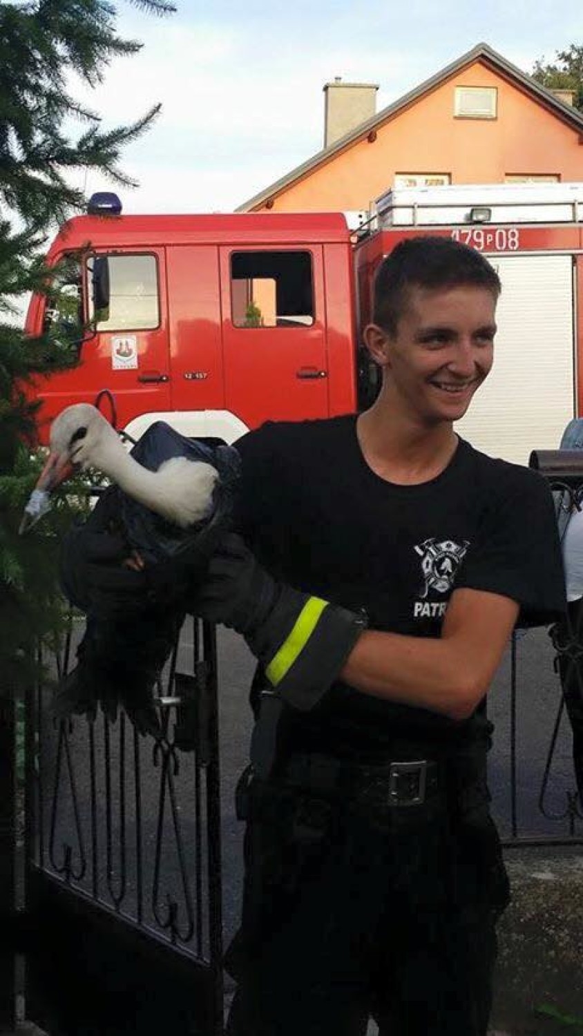 OSP Kłodawa: Strażacy pomogli bocianowi