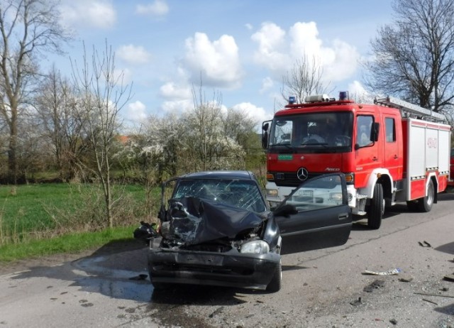 Gm. Nowy Dwór Gdański. Wypadek w miejscowości Orłowo