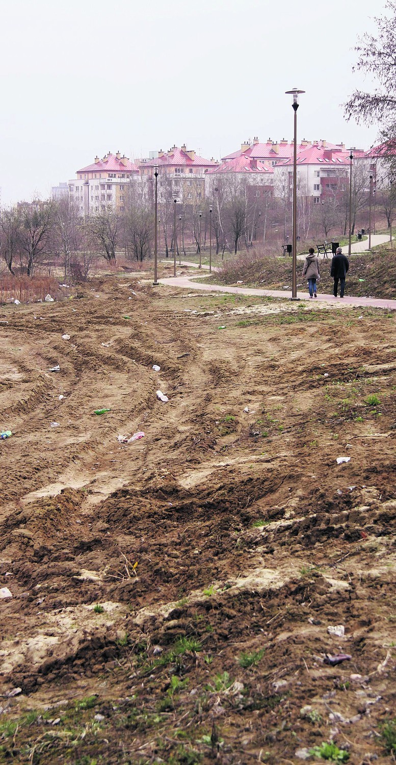 Przygotowania do budowy nowej drogi