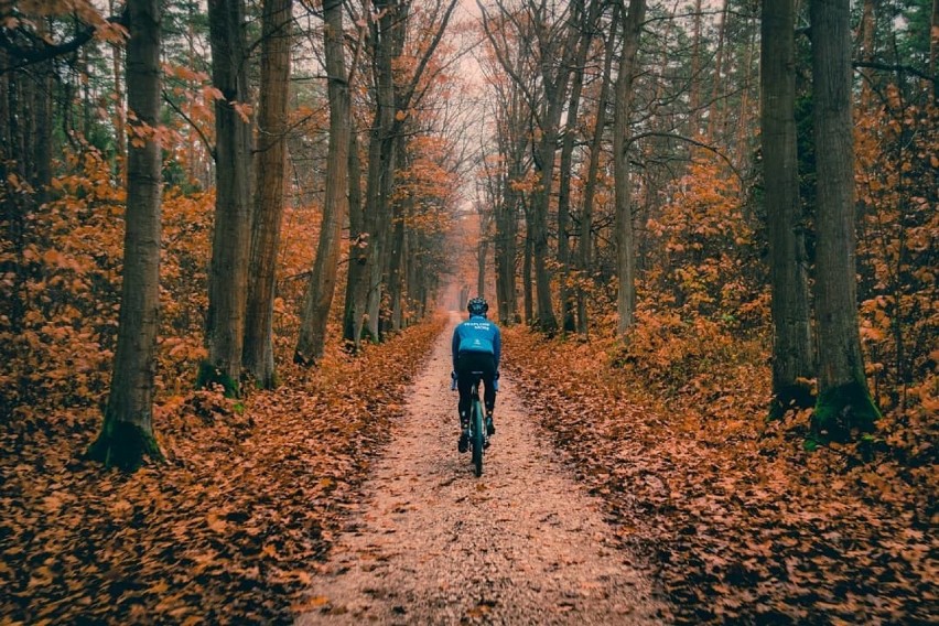 Tak wygląda jesień w obiektywie naszych czytelników! Piękne ZDJĘCIA