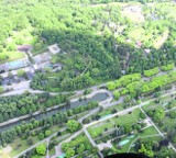 3,5 tysiące drzew udało się uratować od wycinki w Parku Śląskim