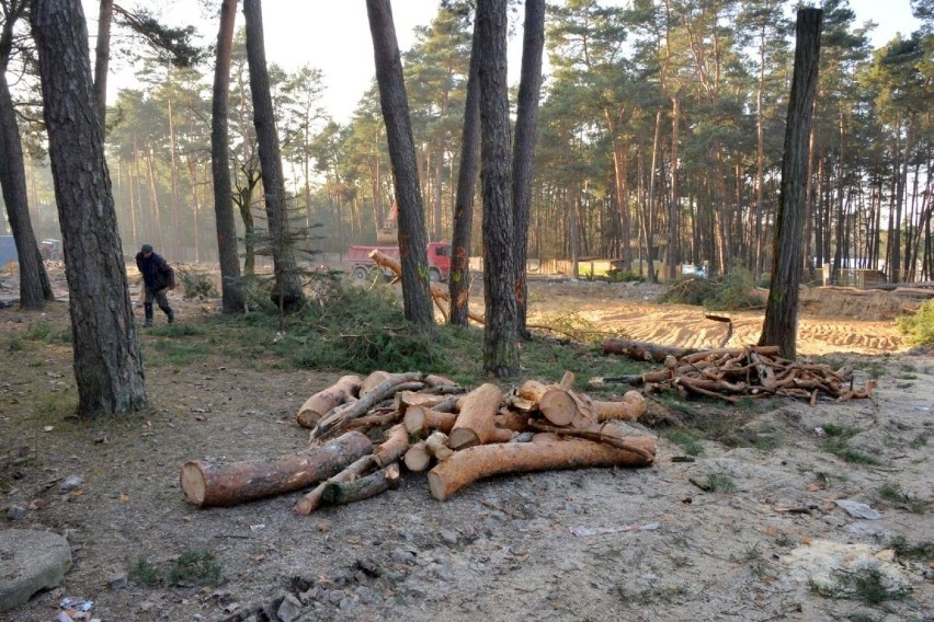 Ruszyła budowa apartamentów Park Sosnowy na kieleckim Stadionie. Trwa wycinanie drzew (WIDEO, ZDJĘCIA)