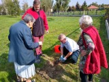 DPS w Skierniewicach sadził drzewka w ramach akcji SadziMy 2020 [ZDJĘCIA]