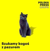 Szukamy kogoś z pazurem! Polska Press Grupa, oddział Kłodzko zatrudni  specjalistę ds. sprzedaży reklam       