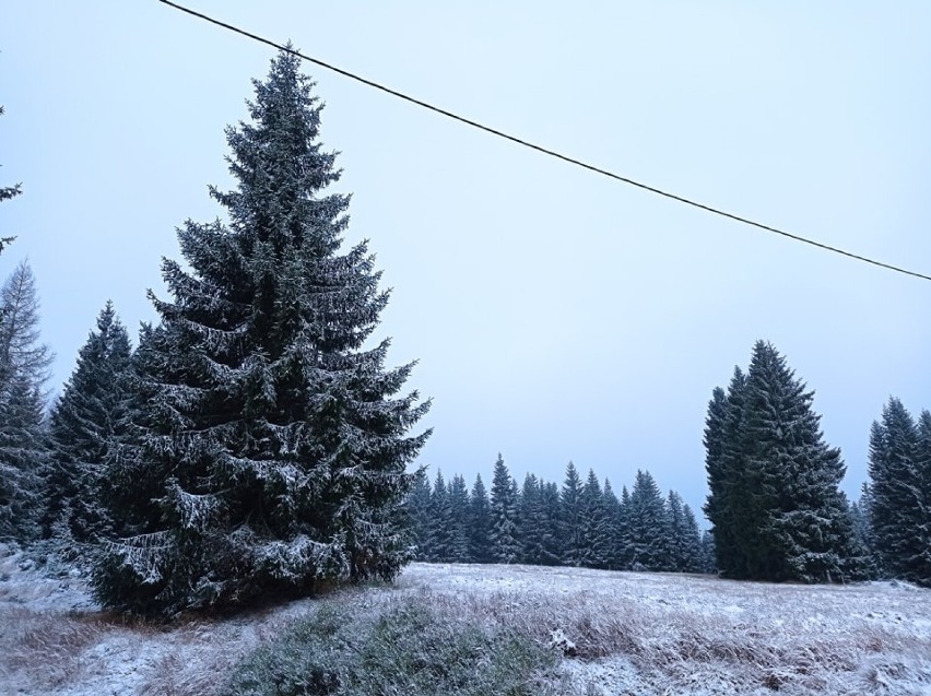 W Karkonoszach i Górach Izerskich spadł pierwszy śnieg. Jak na listopad ma być zimno. Na szczytach do - 11 stopni C. 