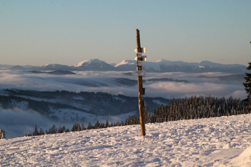 Cudowny poranek w Beskidach. Pięknie widać Tatry! [ZDJĘCIA]