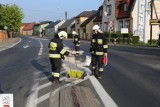 STRAŻACY W AKCJI: Kobylińscy ochotnicy neutralizowali sporą plamę oleju na drodze [ZDJĘCIA]