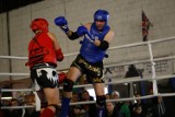 VII Warszawski Turniej MuayThai. Warszawa kontra reszta Polski [ZDJĘCIA]