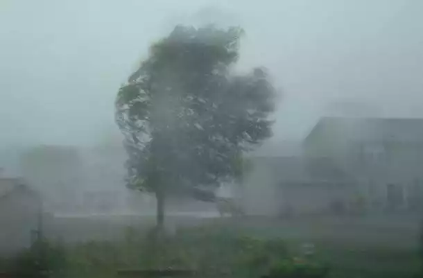 Meteorolodzy przewidują w najbliższych dniach bardzo silny wiatr - w porywach do ponad 100km/h