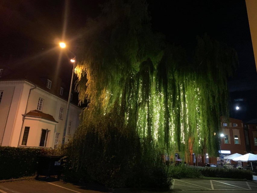 Września:  Zainspirowani Toruniem. Nowa iluminacja świetlna we Wrześni, pierwsza tego typu w Polsce!  [FOTO]