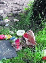 Ekologiczny patrol w Tychach: Śmieci przy lesie mąkołowskim. Puszki po coli, piwie, torby