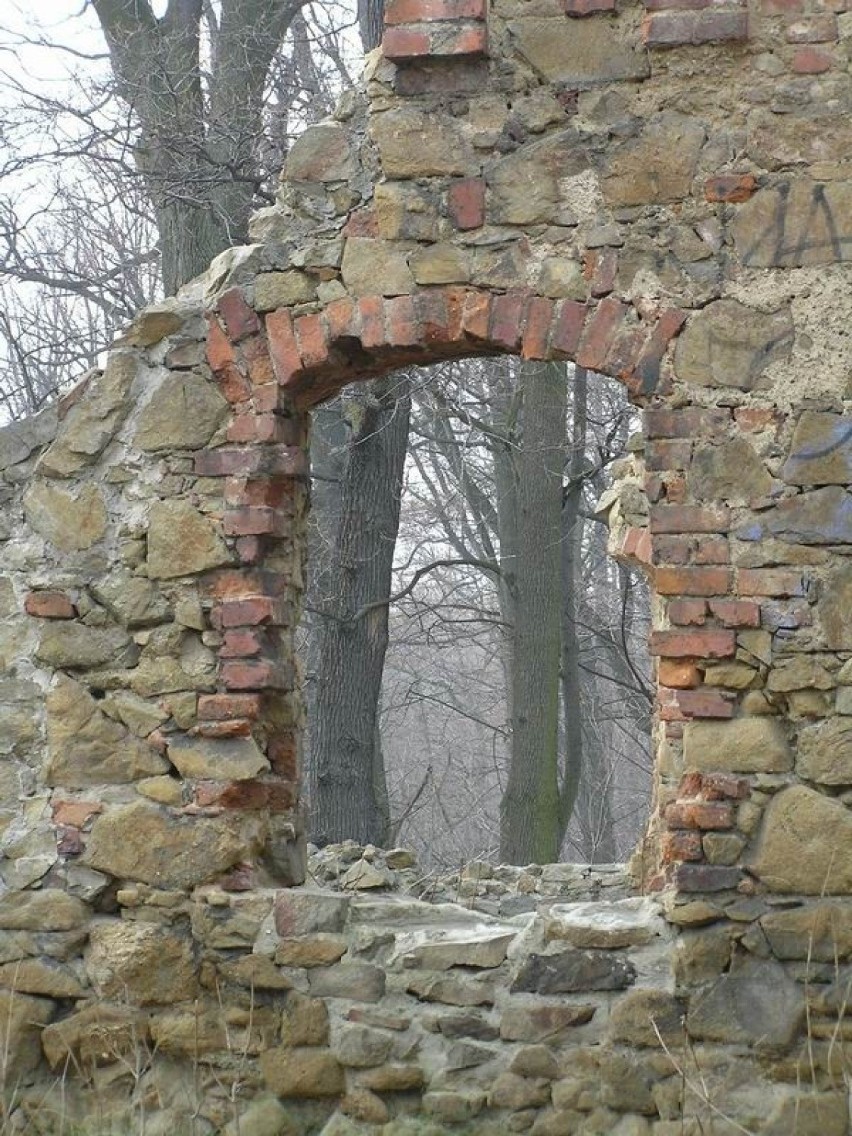 Ruiny zamku Stary Książ, oddalonego o dwadzieścia minut...