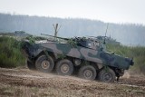 Atrakcją na pikniku militarnym w Wągrowcu będzie wóz pancerny Rosomak. Przypominamy, że piknik odbędzie się już 4 marca 