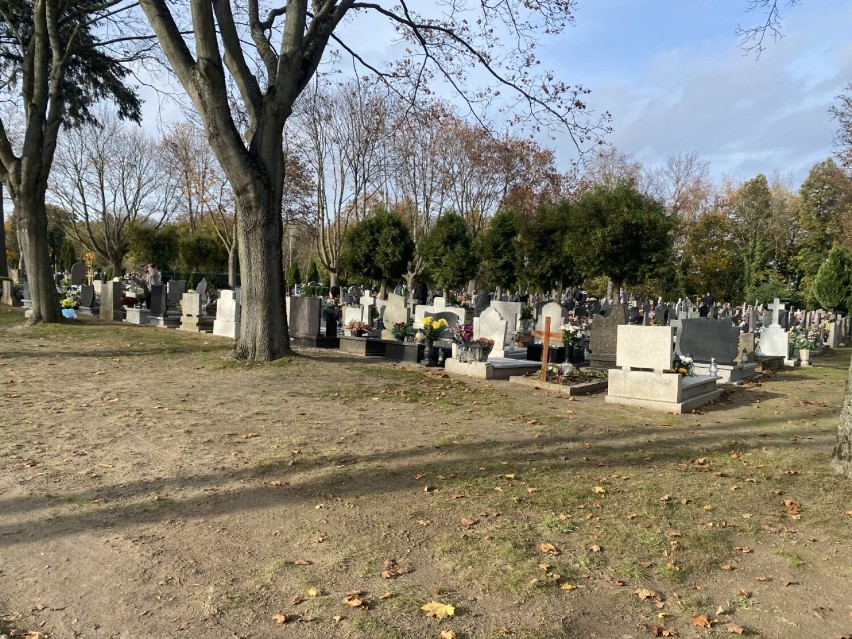 Ile osób zostało już pochowanych na cmentarzu komunalnym w...