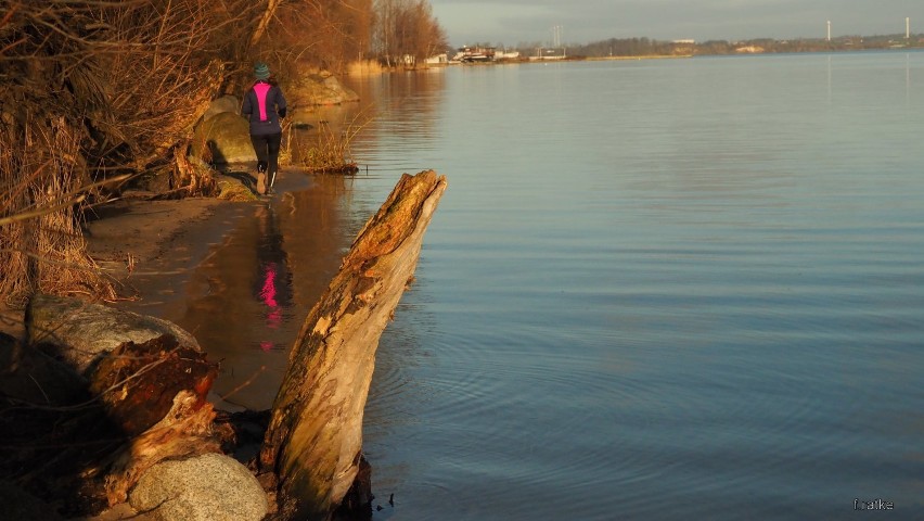 Foto Powiat Pucki: słoneczny spacer nad Zatoką Pucką (luty 2020)