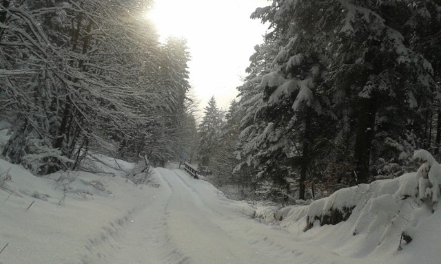 Beskid Mały, droga na Leskowiec, Jaszczurowa