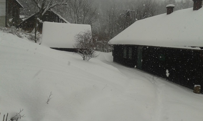 Beskid Mały, droga na Leskowiec, Jaszczurowa