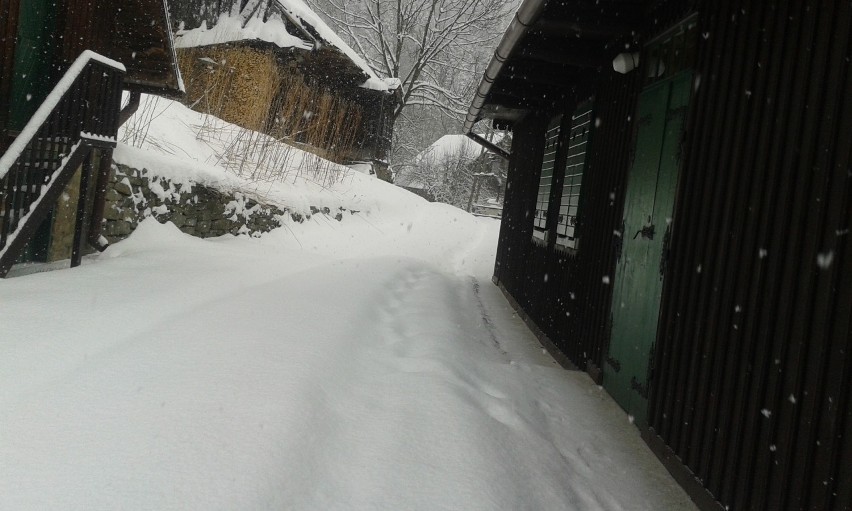 Beskid Mały, droga na Leskowiec, Jaszczurowa