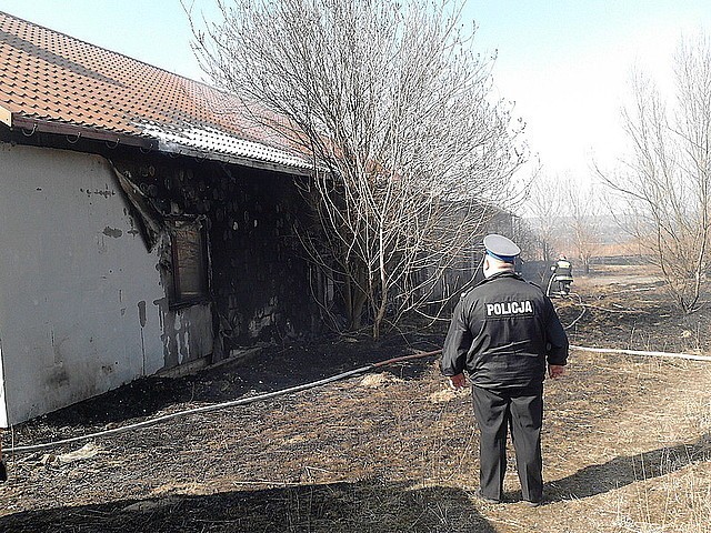 Groźny pożar trawy w okolicach Łańcuta