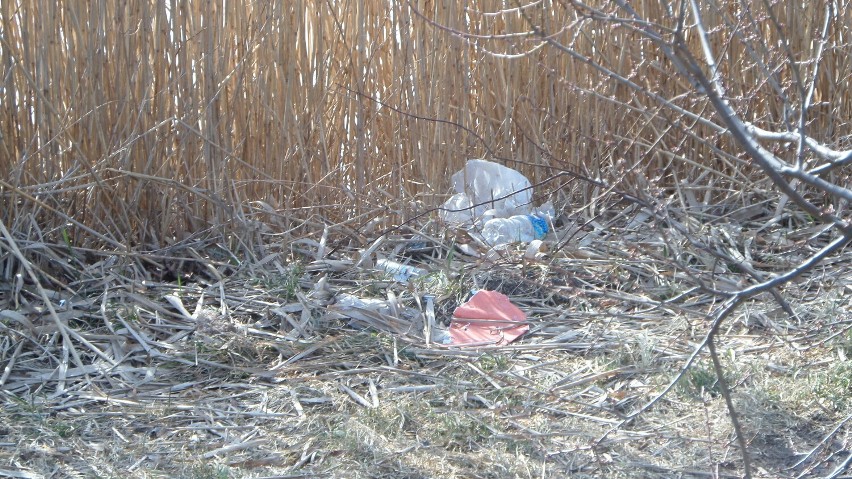 Śmieci  w centrum Myszkowa. Jak co roku po zimie  ZDJĘCIA