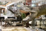 Dinozaury jak żywe  w Galerii Jurajskiej