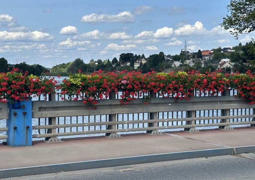 Kwiaty rosną na moście nad rzeką Kamienną, prowadzącym przez...