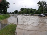 Zalana Wisłostrada i rondo Żaba, połamane drzewa, ponad sto interwencji strażaków. Skutki nawałnicy w Warszawie