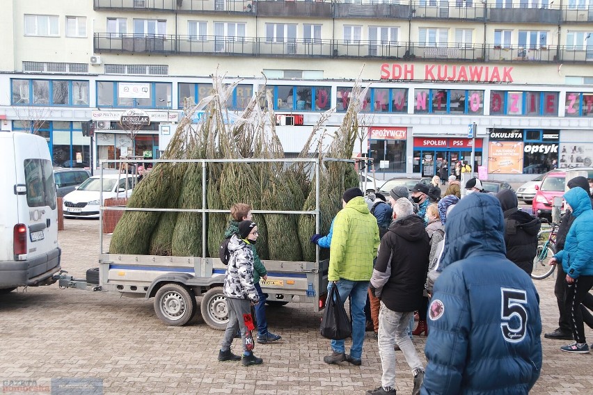 Darmowe choinki od Nowej Lewicy we Włocławku - krzyki i...