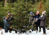 Leszno. Oddaj krew, a otrzymasz świąteczne drzewko od leśników. To ogólnopolska akcja „Choinka dla życia”