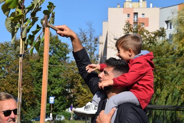 Mieszkańcy i aktywiści protestowali w Częstochowie przeciwko wycięciu 53 drzew. Posadzili symboliczną lipę