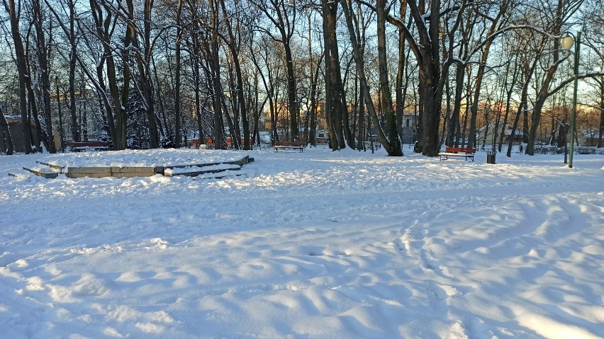 Ogród Saski przykryty białą pierzynką. Zobacz zdjęcia z zimowego spaceru