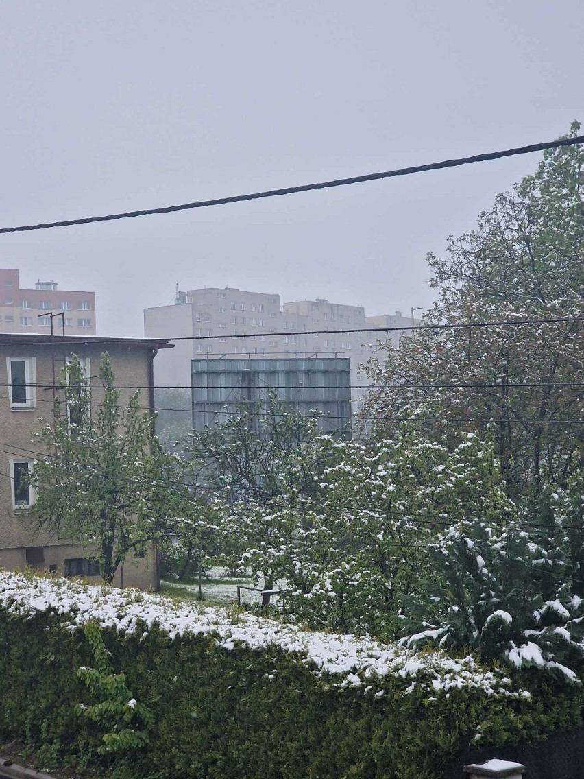 Śnieżny kwietniowy poranek w Bielsku-Białej.