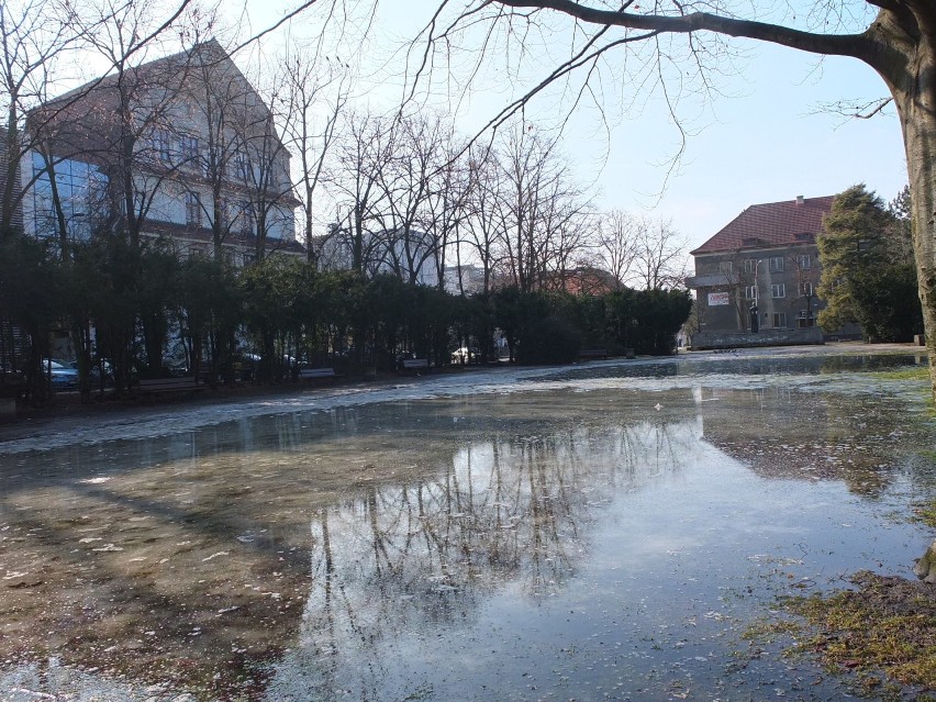 Plac Mickiewicza w Opolu zalany wodą