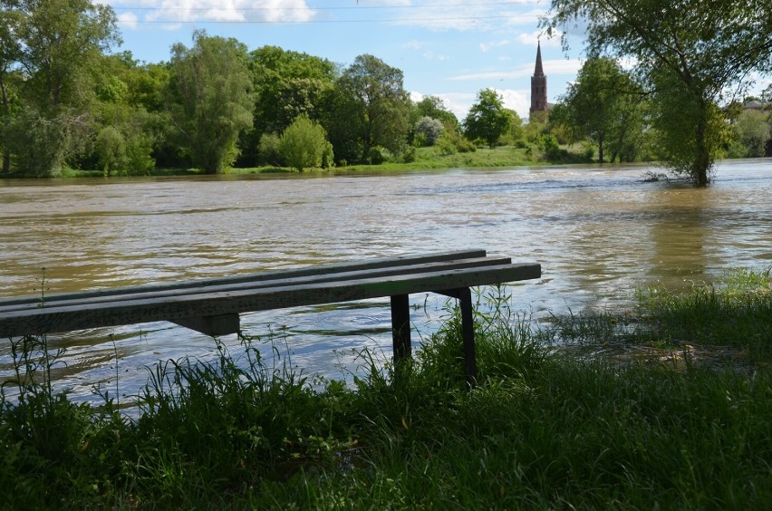 Głogów: Rośnie poziom wody w Odrze. Dziś rano, 21 maja, osiągnął 450 cm. Zdjęcia i film
