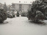 Zima 2022 w Wągrowcu i powiecie. Pierwsze opady śniegu stworzyły magiczny klimat 